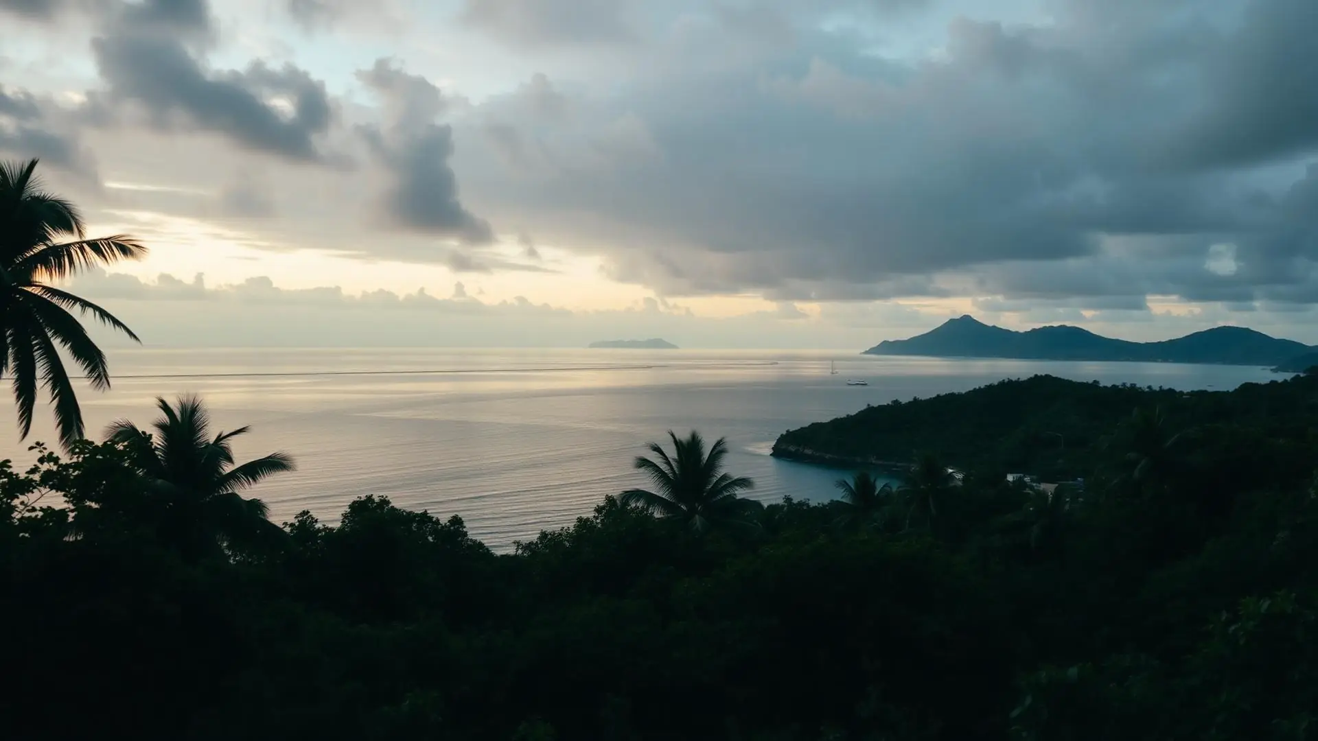 Côte martiniquaise à l'aube